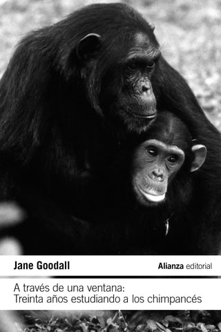 A través de una ventana: Treinta años estudiando a los chimpanc.