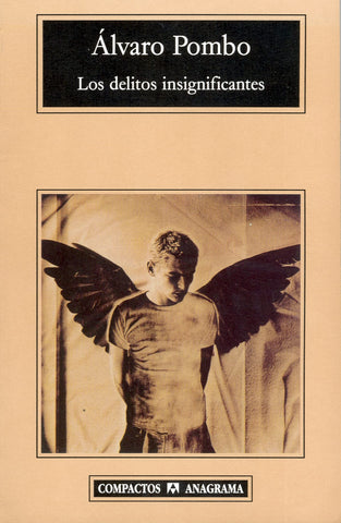 Los delituos insignificantes