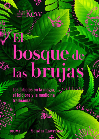 BOSQUE DE LAS BRUJAS, EL