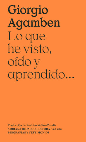 Lo que he visto, oído y aprendido