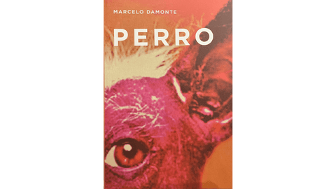 Perro