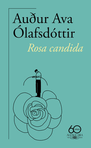 Rosa cándida