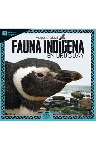 Fauna indígena en Uruguay - Turquesa