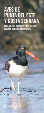 Aves de Punta del Este y Costa Serrana