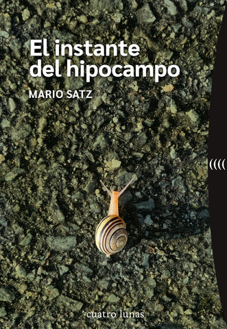 El instante del hipocampo