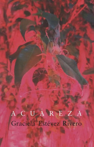 Acuareza