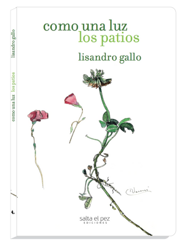Como una luz los patios