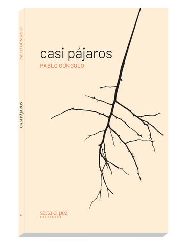 Casí pájaros