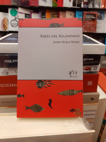 PARTE DEL RELÁMPAGO