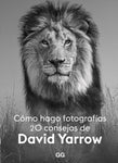 Cómo hago fotografías - 20 consejos de David Yarrow