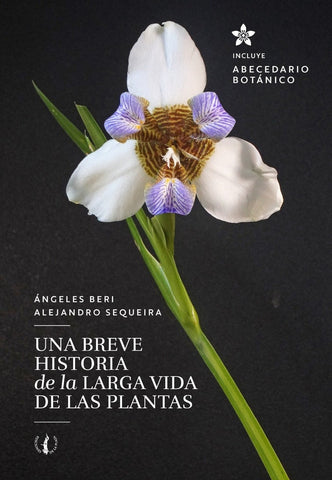 Breve historia de la larga vida de las plantas