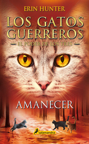 GATOS GUERREROS - EL PODER DE LOS TRES 6 - AMANECER