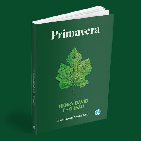 Primavera