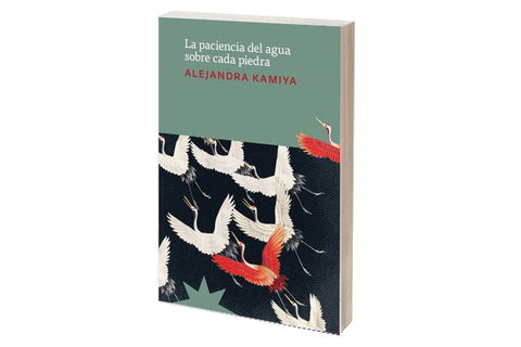 La paciencia del agua sobre cada piedra