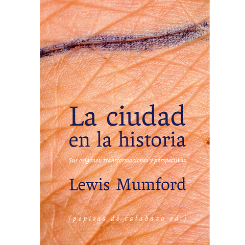 La ciudad en la historia