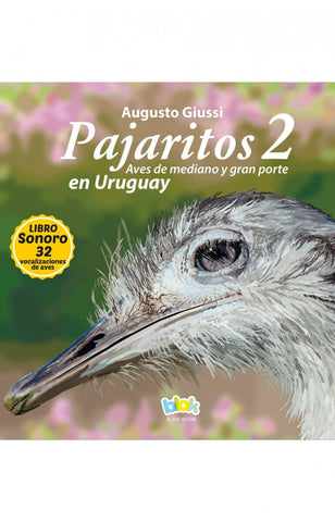Pajaritos En Uruguay 2