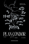 Plan cóndor